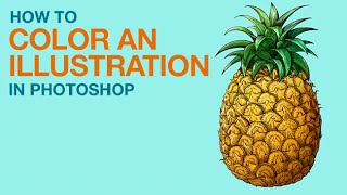 How to Color an Illustration in Photoshop [upl. by Hurff]